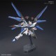 Strike Freedom Gundam HGCE