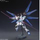Strike Freedom Gundam HGCE