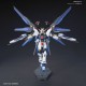 Strike Freedom Gundam HGCE